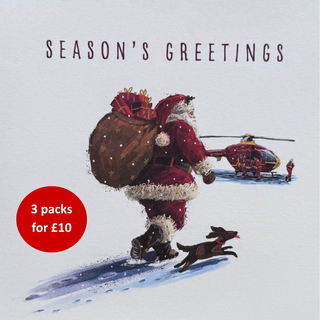 Come On Bud - Christmas Card 2026