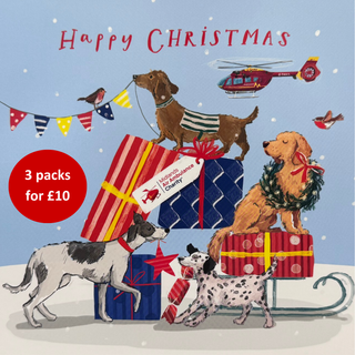 Sleigh Dogs - Christmas Card 2026
