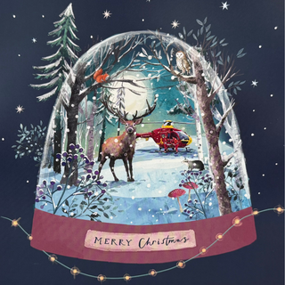 Woodland Snow Globe - Christmas Card 2026