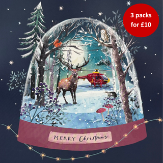 Woodland Snow Globe - Christmas Card 2026